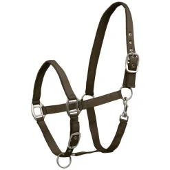 WALDHAUSEN Licol cheval nylon doublé Satin -< Licols