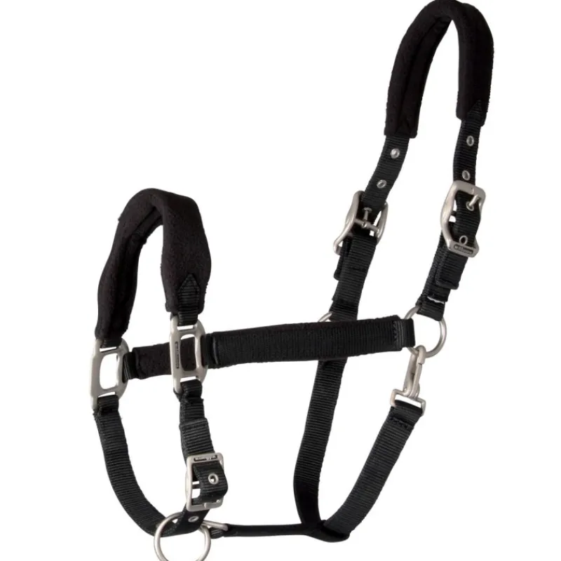 WALDHAUSEN Licol cheval nylon matelassé Soft Premium -< Licols