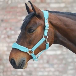 WALDHAUSEN Licol cheval nylon matelassé Soft Premium -< Licols
