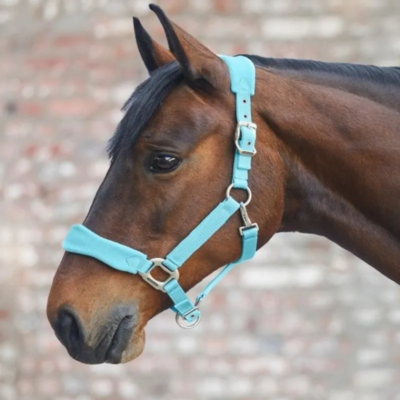 WALDHAUSEN Licol cheval nylon matelassé Soft Premium -< Licols