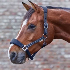 WALDHAUSEN Licol cheval nylon matelassé Alcantara -< Licols