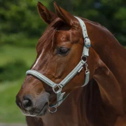 WALDHAUSEN Licol cheval nylon matelassé Crystal -< Licols
