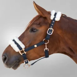 WALDHAUSEN Licol cheval nylon Modern rosé -< Licols