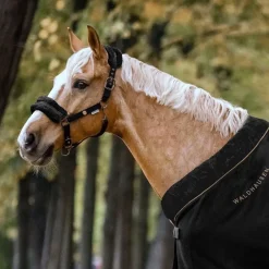 WALDHAUSEN Licol cheval nylon Modern rosé -< Licols