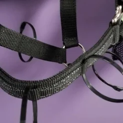 THINLINE Licol cheval pour panier anti-fourbure Breakway -< Panier Anti-Fourbure Cheval|Cheval En Surpoids