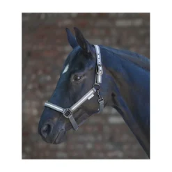 WALDHAUSEN Licol cheval réfléchissant -< Equipement Réfléchissant Cavalier|Licols