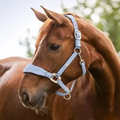 WALDHAUSEN Licol cheval Rom -< Licols