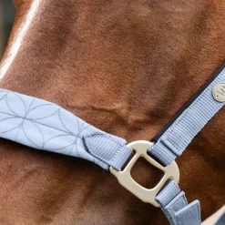 WALDHAUSEN Licol cheval Rom -< Licols