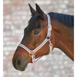 WALDHAUSEN Licol cheval rosé shine -< Licols