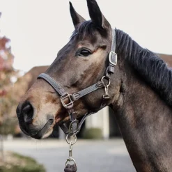 KENTUCKY HORSEWEAR Licol cheval simili-cuir nylon tressé - Kentucky< Licols