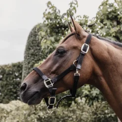 KENTUCKY HORSEWEAR Licol cheval simili-cuir nylon tressé - Kentucky< Licols