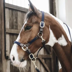KENTUCKY HORSEWEAR Licol cheval simili-cuir nylon tressé - Kentucky< Licols