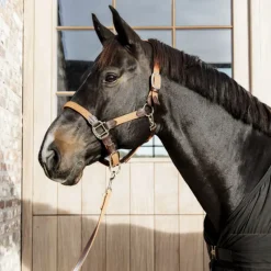 KENTUCKY HORSEWEAR Licol cheval simili-cuir nylon tressé - Kentucky< Licols