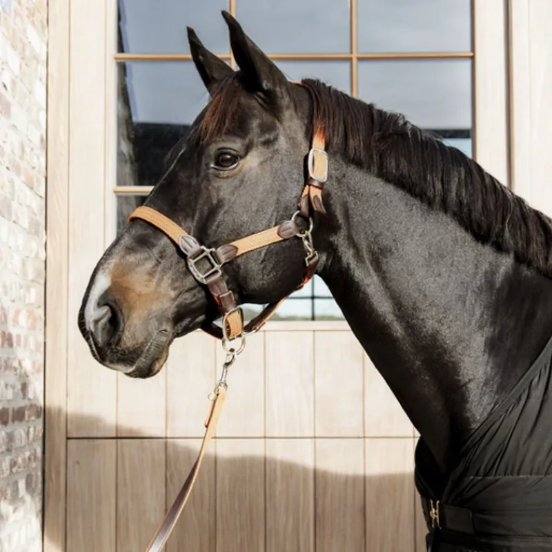 KENTUCKY HORSEWEAR Licol cheval simili-cuir nylon tressé - Kentucky< Licols