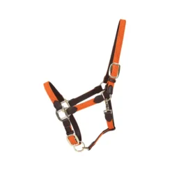 KENTUCKY HORSEWEAR Licol cheval simili-cuir nylon tressé - Kentucky< Licols