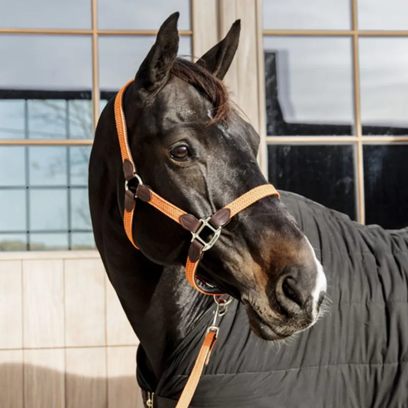 KENTUCKY HORSEWEAR Licol cheval simili-cuir nylon tressé - Kentucky< Licols