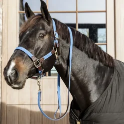 KENTUCKY HORSEWEAR Licol cheval simili-cuir nylon tressé - Kentucky< Licols