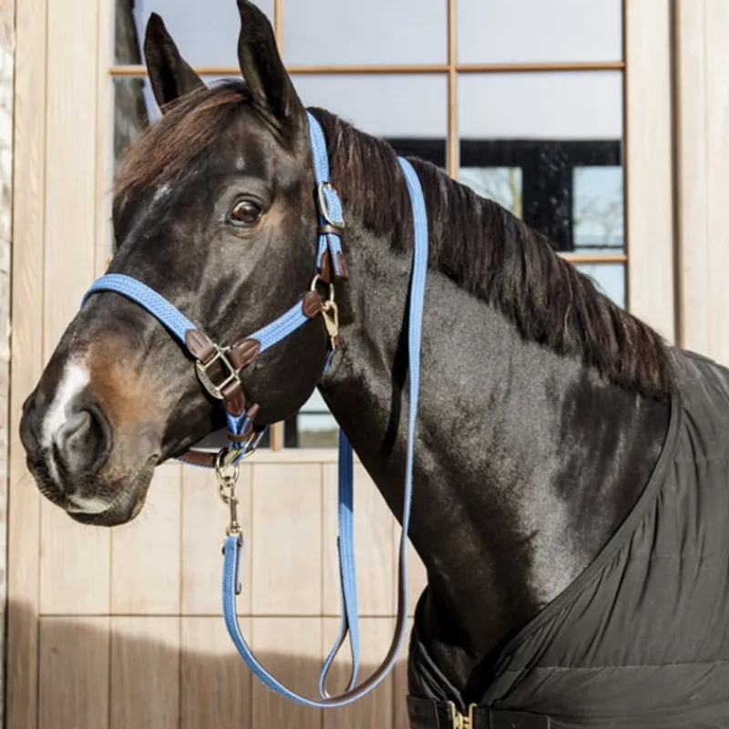 KENTUCKY HORSEWEAR Licol cheval simili-cuir nylon tressé - Kentucky< Licols