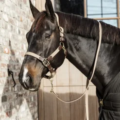 KENTUCKY HORSEWEAR Licol cheval simili-cuir nylon tressé - Kentucky< Licols