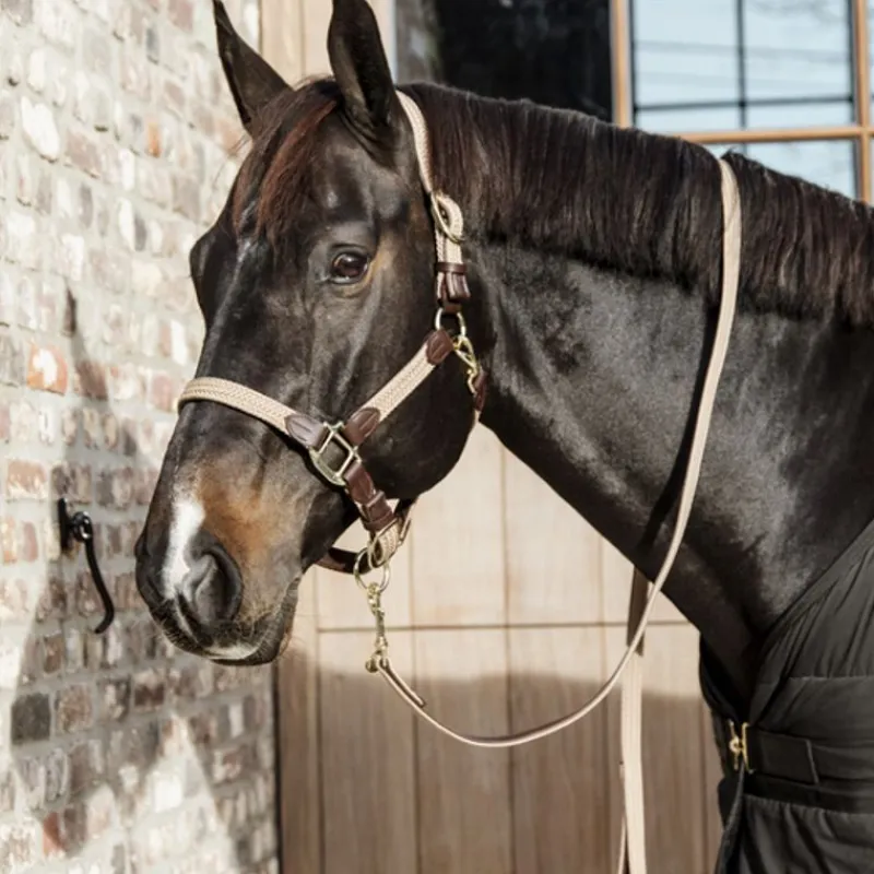 KENTUCKY HORSEWEAR Licol cheval simili-cuir nylon tressé - Kentucky< Licols