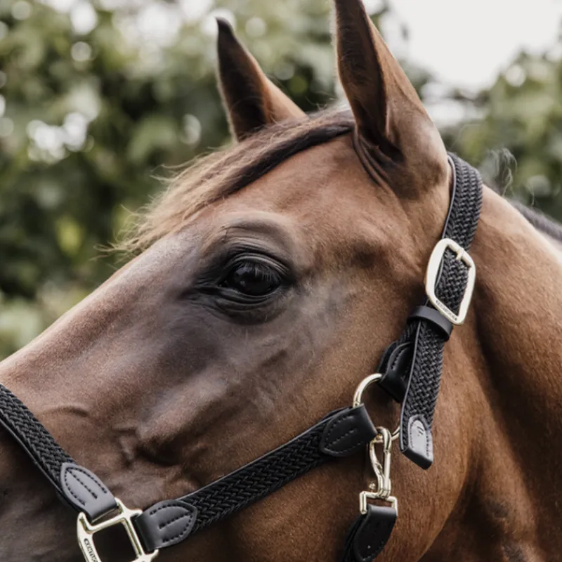 KENTUCKY HORSEWEAR Licol cheval simili-cuir nylon tressé - Kentucky< Licols
