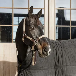 KENTUCKY HORSEWEAR Licol cheval simili-cuir nylon tressé - Kentucky< Licols