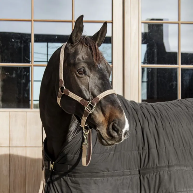 KENTUCKY HORSEWEAR Licol cheval simili-cuir nylon tressé - Kentucky< Licols