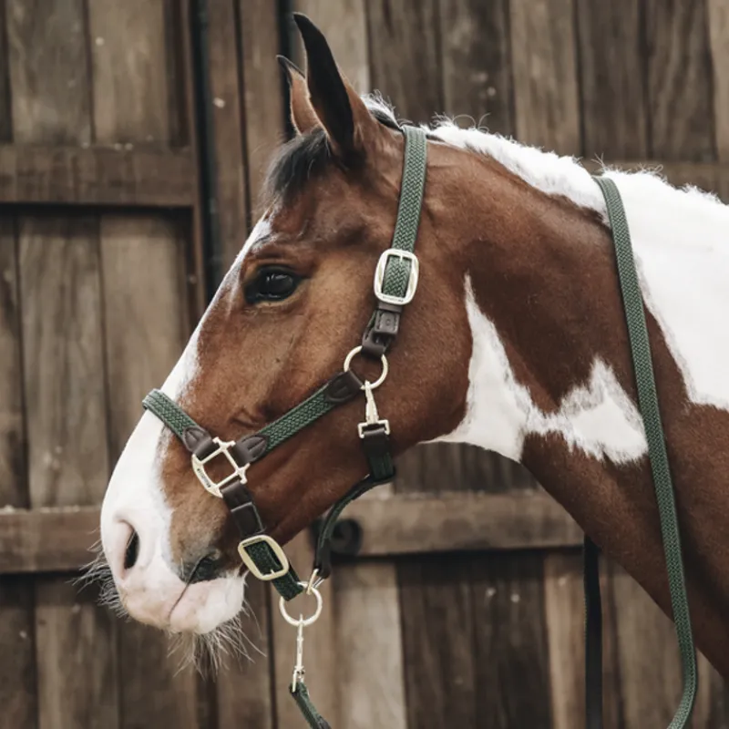 KENTUCKY HORSEWEAR Licol cheval simili-cuir nylon tressé - Kentucky< Licols