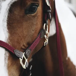 KENTUCKY HORSEWEAR Licol cheval simili-cuir nylon tressé - Kentucky< Licols