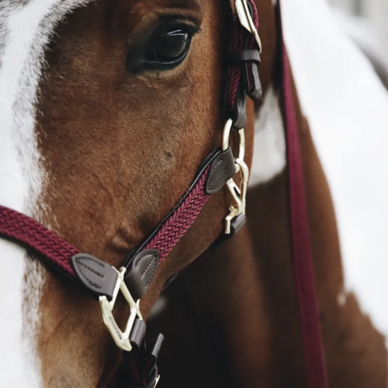 KENTUCKY HORSEWEAR Licol cheval simili-cuir nylon tressé - Kentucky< Licols