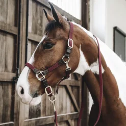 KENTUCKY HORSEWEAR Licol cheval simili-cuir nylon tressé - Kentucky< Licols