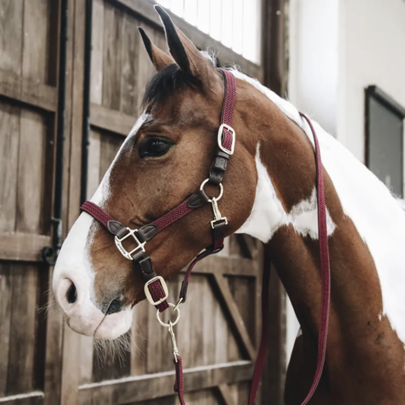 KENTUCKY HORSEWEAR Licol cheval simili-cuir nylon tressé - Kentucky< Licols