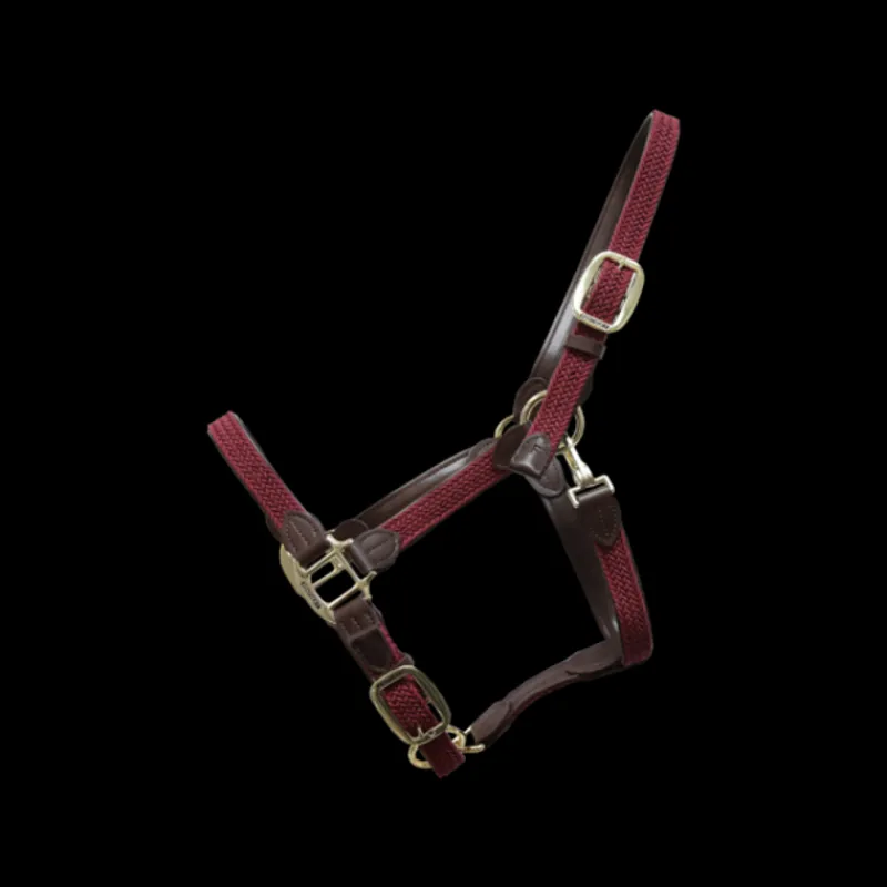 KENTUCKY HORSEWEAR Licol cheval simili-cuir nylon tressé - Kentucky< Licols