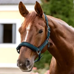 WALDHAUSEN Licol cheval Soft Touch -< Licols