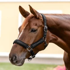 WALDHAUSEN Licol cheval Soft Touch -< Licols