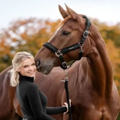 WALDHAUSEN Licol cheval Soft Touch -< Licols