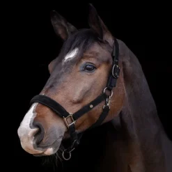 WALDHAUSEN Licol cheval St Gallen -< Licols