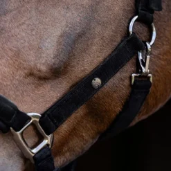 WALDHAUSEN Licol cheval St Gallen -< Licols