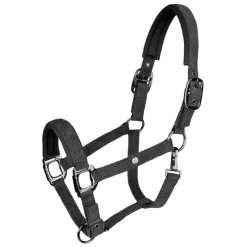 WALDHAUSEN Licol cheval St Gallen -< Licols