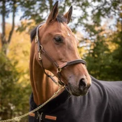 PADDOCK SPORTS Licol cuir cheval 3 mousquetons -< Licols