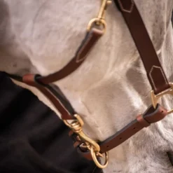 PADDOCK SPORTS Licol cuir cheval 3 mousquetons -< Licols