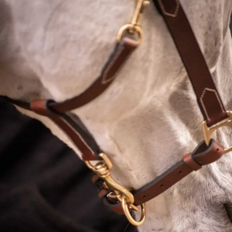 PADDOCK SPORTS Licol cuir cheval 3 mousquetons -< Licols