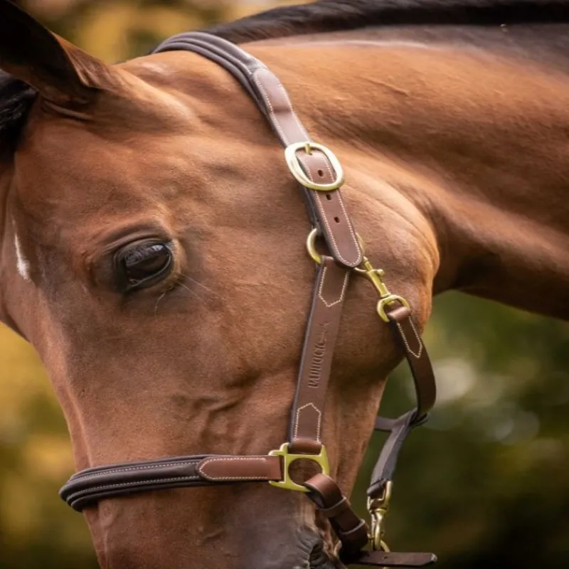 PADDOCK SPORTS Licol cuir cheval 3 mousquetons -< Licols