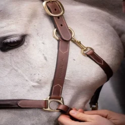 PADDOCK SPORTS Licol cuir cheval 3 mousquetons -< Licols
