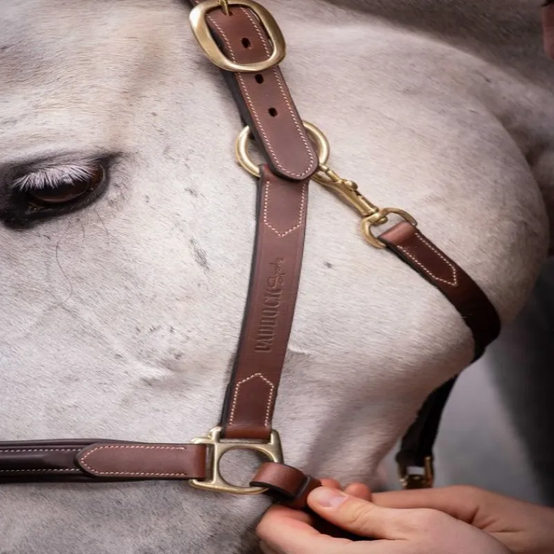 PADDOCK SPORTS Licol cuir cheval 3 mousquetons -< Licols