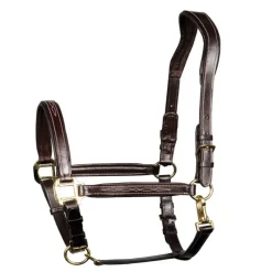HARRY'S HORSE Licol cuir cheval anatomique Supreme -< Licols