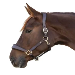 WALDHAUSEN Licol cuir cheval anatomique X-Line -< Licols