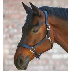 WALDHAUSEN Licol cuir cheval anatomique X-Line -< Licols