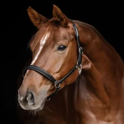 WALDHAUSEN Licol cuir cheval Classy S-Line -< Licols