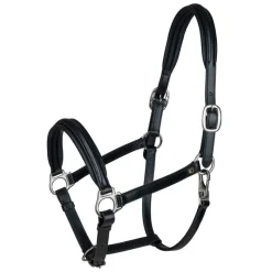 WALDHAUSEN Licol cuir cheval Classy S-Line -< Licols
